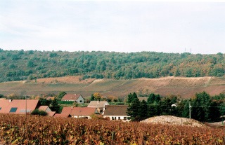 Vignes Maisons.jpg